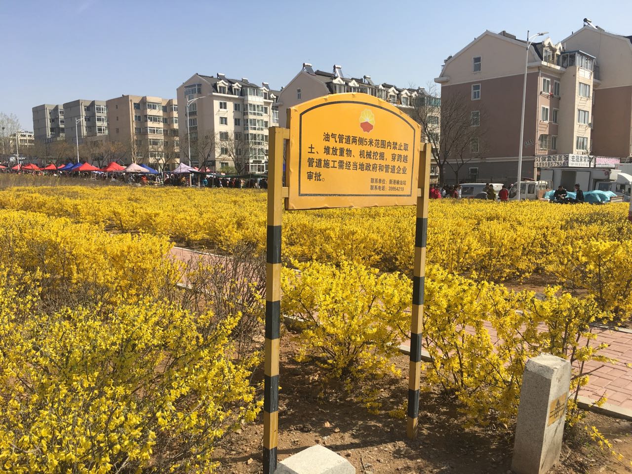 �͚�ܵ��L(f��ng)�U�R�e�c�ܿ�