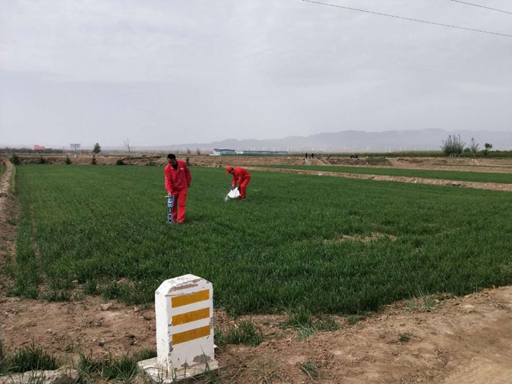 ����x��ȫ��ݔ��ܵ���(xi��n)·