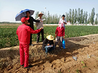 �͚�ܵ�����ʹ�Ù���(w��n)�}����������