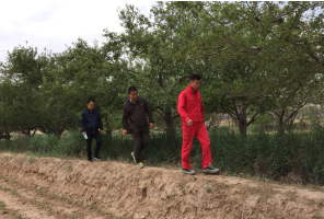 �����͚�ܵ��ߺ���^���팍(sh��)�`