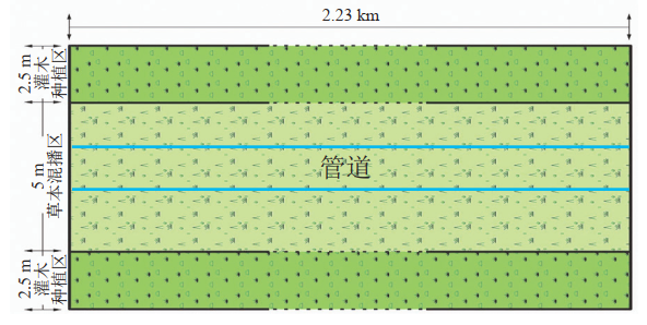 ꃾ��ܵ����ɹŶ����B(t��i)�������g(sh��)����