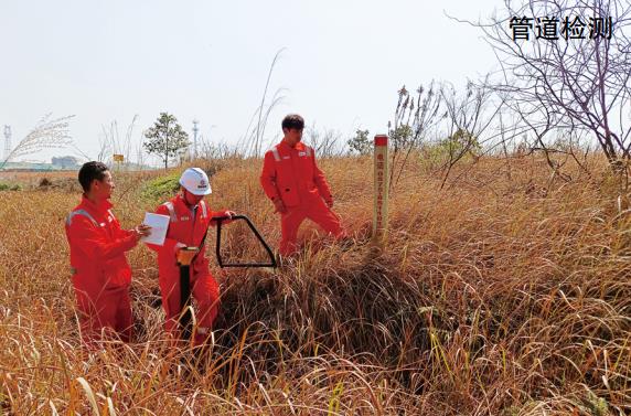 ���γ��е��F�sɢ����ɔ_��(sh��)�`