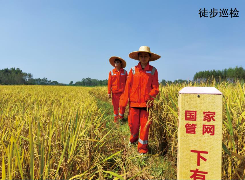 �Ƽs�ܵ�Ѳ�o��Ч�Է���������