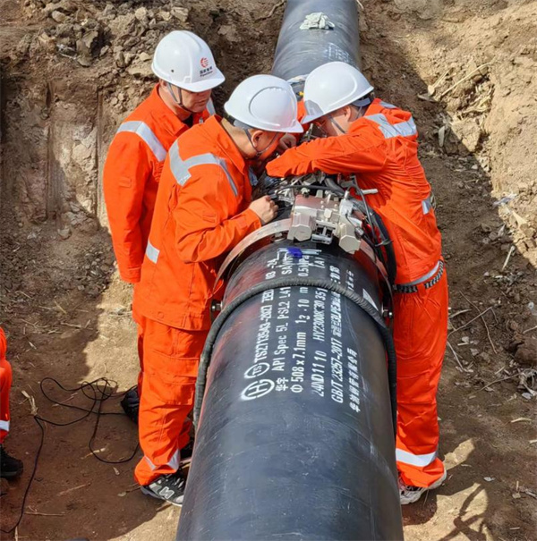 �ܵ��a��ճ���|(zh��)���o(w��)�p�z�y�u�r(ji��)ϵ�yԇ�ɹ�