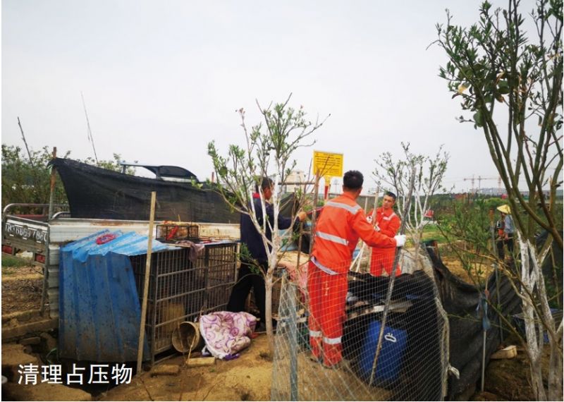 ���c(di��n)��Ԓ(hu��)��55������R�� �ĸ��������ιܵ��`��ռ��